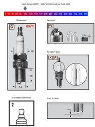 Champion Sparkplug RC7YC3